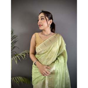 Sari Paithani en tissu épais avec motifs Mina Butti - Accessoires ethniques - Product Image 5