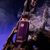 Parfum COCOA MORADO 100ml French Avenue Original Dubaï Arabe Longue Tenue Eau de Parfum pour Femme