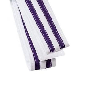 White Purple Striped Taekwondo Belt Cotton Martial Arts Grading Belt Multi Color Training Rank Strap BJJ Ranking Belts - Product Image 4
