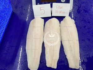 Filet de pangasius surgelé d'usine Pangasius bien paré/filet de dory à la crème emballage en vrac 10kg pour la vente en gros de fruits de mer TAKIMEX - Product Image 4
