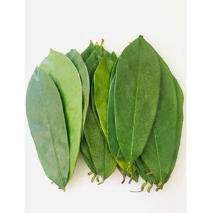 Hojas de Guanábana Secas de Primera Calidad para Exportación, Té Herbal de Graviola, Suministro a Granel - Product Image 1