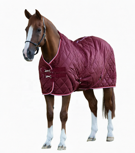 Manta para Caballo Acolchada con Logotipo Personalizado, Manta de Poliéster para Caballo, Cubierta para Montar en Invierno - Product Image 1