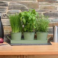 Macetero de Metal Hecho a Mano de Diseño Creativo y Lujoso, Kit de Jardinería RoyalDecoration, Macetero Atractivo y Económico - Product Image 3