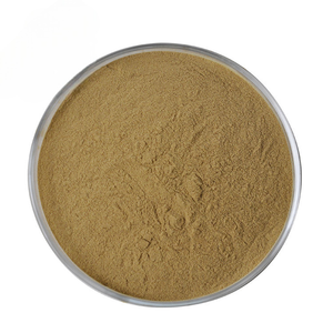 Poudre de champignon Crinière de lion pure OEM la plus vendue, poudre naturelle d'Hericium Erinaceus pour la santé cérébrale, la concentration et le soutien de la mémoire - Product Image 1