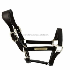 Plaque de nom personnalisée, conception anatomique robuste, licol pour cheval en cuir rembourré doux, tailles Full Cob, quincaillerie en laiton nickelé - Product Image 1