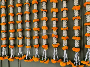 Mogra Marigold guirnalda decorativa tradicional para colgar en la pared y telón de fondo de escenario festivales y decoraciones de bodas Haldi - Product Image 3