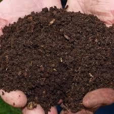Engrais organique Bhumi Gold, poudre de vermicompost à 100% de pureté, engrais à libération rapide pour les plantes agricoles, fabriqué dans l'Uttar Pradesh - Product Image 6