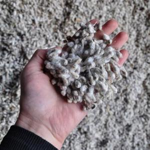 Natural Cottonseed Premium Quality Cleaned Dried <b>Oil</b> Seeds for <b>Animal</b> Feed <b>Oil</b> Production and Bulk Supply - Product Image 1