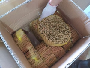 Bâtonnets de cannelle de Cassia de qualité supérieure 85% 90% pour cigares et cigarettes, Cassia 80, haute qualité. - Product Image 6
