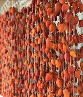 Dattes séchées SUNRISE INS de haute qualité, conservées dans l'eau, en vrac, 10 kg, fabriquées au Vietnam