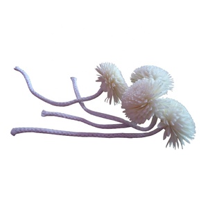 Wholesale Home Fragrance Scent <b>Diffuser</b> Decor Flower <b>Reed</b> <b>Diffuser</b> Sola Juhi Fower Handmade Sola Wood Flower - Product Image 2