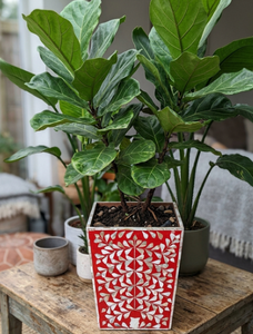 Handcrafted Mother of Pearl Planter <b>Pot</b> Tapered <b>Square</b> Decorative Flower <b>Pot</b> Coastal Style Indoor Outdoor Use from Vietnam - Product Image 6