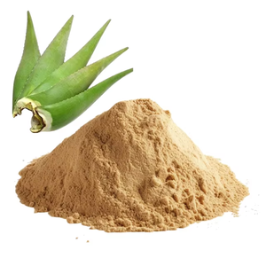 Polvo de Aloe Vera de calidad alimentaria, 100% puro, 250g, polvo de Aloe Vera de malla fina, ingrediente vegetal para procesamiento de alimentos y recetas - Product Image 4