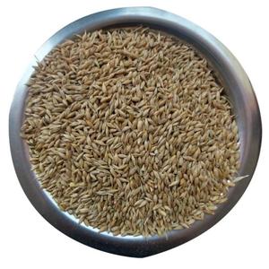 Cereali Biologici AD Barley Breakfast Product: Fiocchi e Mix Energetici per l'Esportazione a Prezzo Economico - Product Image 6