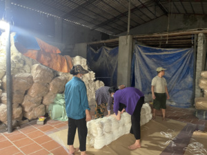 หวายฟอก1.5มม. สำหรับงานสวนทำจากหวายดิบผลิตจากเวียดนาม (mrhuy + 84916930070) - Product Image 2