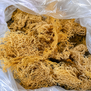 <b>Roasted</b> Yellow & Purple Laver Sea Moss in <b>Bag</b>-Wild Crafted & Sun Dried 100% Natural Vegan Superfood/ Ms.Alina - Product Image 5