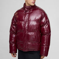 Veste matelassée à capuche pour homme Pantone, couleur unie, coupe-vent, manteau d'hiver, coupe régulière, fermeture éclair, rembourrage en coton tricoté, polyester