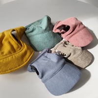 Petkaa Fabricant Fournisseur Casquette de luxe en velours côtelé pour chiens et chats, style baseball, protection solaire, respirante, faible MOQ, accessoires pour animaux de compagnie