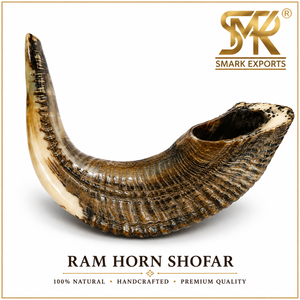 Shofar traditionnel en corne de bélier, instrument religieux en corne naturelle pour les cérémonies juives, Rosh Hashanah, Yom Kippur, prière et culte - Product Image 6
