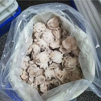 Poulpe bébé surgelé de qualité supérieure en gros, export en vrac, qualité alimentaire, stock prêt, meilleure qualité, approvisionnement