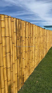 Vietnam <b>Bamboo</b> Pole Export Wholesale | Vifarmex Reliable Manufacturer Factory Supplier - Product Image 4