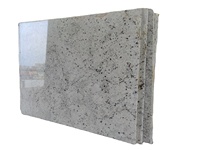Granit blanc colonial d'Inde de qualité supérieure, finition antique, grande dalle, haute résistance, style design moderne, disponible pour villa