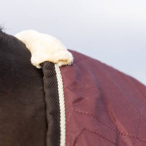 Équipement équestre personnalisé, couverture de cheval en tissu Oxford léger et respirant pour l'été, couverture de luxe pour cheval - Product Image 4