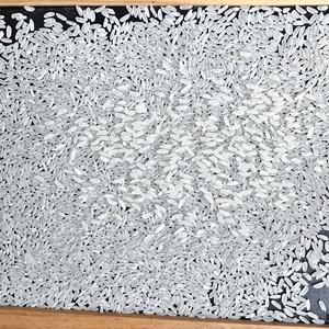 Arroz Blanco Calrose de Grano Mediano de Vietnam, 5% de Grano Partido, para el Mercado de Oriente Medio, Venta al por Mayor a Granel, 25kg 50kg, OEM, Marca Privada, Exportación/ ANNA - Product Image 4