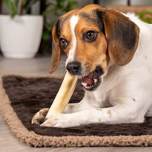 [MEILLEURES VENTES] |   Bâton à mâcher pour chien en bois de café, durable, pour le nettoyage des dents, jouet interactif sûr pour animaux de compagnie, anti-stress, Vietnam - Product Image 2