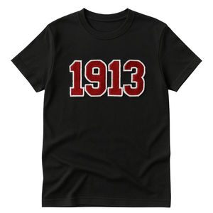 เสื้อยืดเดลต้า 1913 สีดำ ผ้าฝ้ายเชนิลล์ ปักโลโก้ เสื้อยืดพรีเมียมสำหรับชมรมนักศึกษา เสื้อผ้ามหาวิทยาลัยแบบกำหนดเอง ลายเพชรฤดูหนาวสไตล์กรีก - Product Image 5