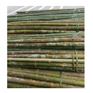 Lattes de bambou vietnamiennes pour la fabrication de paniers, accessoires décoratifs et applications de meubles - Product Image 3