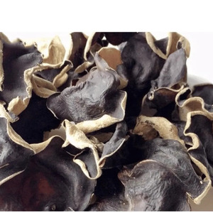 Hongos Negros Secos Enteros Crudos Cultivados de Color Natural // Ms. Reina// 2026 - Product Image 1