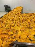 99GD Dong Nai Gedroogde Mango Slices Zoete Tropische Fruit Snack Zachte Kauwbaar Vacuüm Verpakt Vietnam