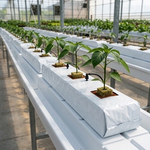 Wholesale Double Layer Extra Strong Eco-Friendly <b>Plastic</b> Grow Bags 1000mL Capacity for Vegetable Mushroom Growing Hydroponic - Product Image 2