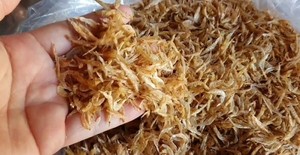 Deliciosos camarones pequeños secos a la venta en Vietnam - Product Image 2