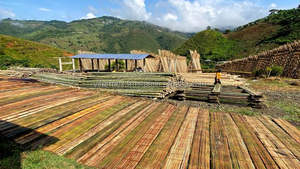 Postes de bambú ecológico de proveedor mayorista de Vietnam para mercados globales | Suministro al por mayor y a granel - Product Image 4