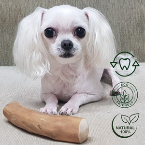 QM GLOBAL Juguetes Masticables para Perros de Madera de Café 100% Natural, Ecológicos, Duraderos, Sostenibles, No Tóxicos, para Limpieza Dental - Product Image 1