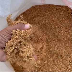 Venta al por Mayor de Pacas de Fibra de Coco para Hidroponía, Coco Coir, Cocopeat, Fibra de Coco para Agricultura, Precio Económico, Calidad Premium, EE. UU. y Canadá - Product Image 3