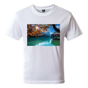 High Quality 100% Cotton Printed Graphic Tee Oversized Streetwear Blank <b>Tshirts</b> Manufacturer - Product Image 4