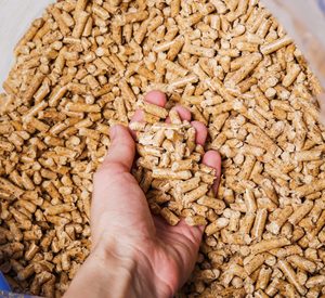 Granulés de biomasse, produit du Brésil, en carton, approvisionnement en vrac, origine BRÉSIL - Product Image 5