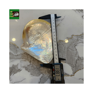 Assiette en nacre faite à la main, assiette à caviar en coquille naturelle, vaisselle décorative de haute qualité pour banquets et événements - Product Image 4