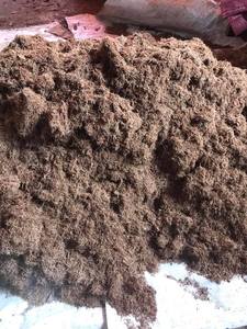 Cáscara de Coco Premium, Cortada a la Mitad y Triturada, Exportación a Granel de Vietnam para Carbón Activado, Biomasa y Combustible - Sra. Tarina - Product Image 3