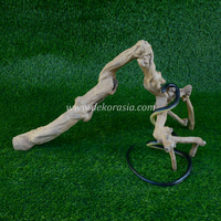 Kaffeeroot-Holz (60-80cm) Umweltfreundlich für Reptilien-Dschungel-Vivarien & Terrarien Tierkäfige - Marke CR-M