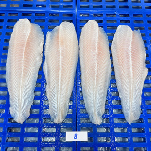 Filets de poisson pangasius basa surgelés en gros pour restaurants / Mme Alina - Product Image 1