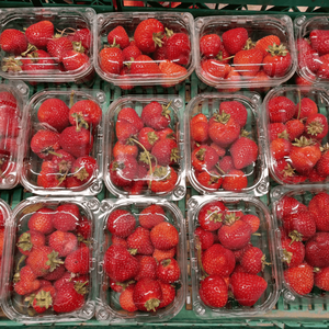 Fresas Frescas de la Mejor Calidad, Cultivadas Naturalmente, Dulces, Jugosas, Rojas, Seleccionadas en Granja, Grado Premium, Perfectas para una Alimentación Diaria Saludable - Product Image 6