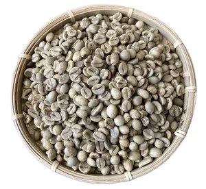 Вьетнамское происхождение, робуста | Арабика, зеленая кофейная фасоль с чистой/влажной полированной обработкой PHAN + 84931615449