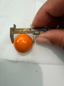 ไข่มุกเมโลธรรมชาติเปล่งประกายด้วยความสง่างามเหนือกาลเวลา เหมาะสำหรับการสร้างสรรค์เครื่องประดับสุดหรูและการตกแต่งอย่างมีระดับ ไข่มุกเมโลขนาด 23 มม. - Product Image 3