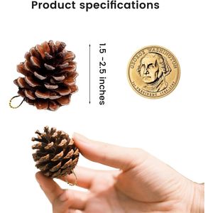 Ghirlanda di Pigne Naturali Rustiche per Decorazioni Albero di Natale e Riempimento Vasi Invernali, Artigianato Fatto a Mano - Product Image 2