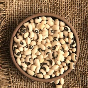 Haricots noirs en gros pour les détaillants et les distributeurs avec une qualité de grain constante et une saveur naturelle - Product Image 1