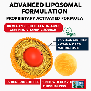 Ácido ascórbico liposomal 1000mg bolsita Suplemento de refuerzo de inmunidad de absorción rápida 30 cuentas OEM Corea - Product Image 5
